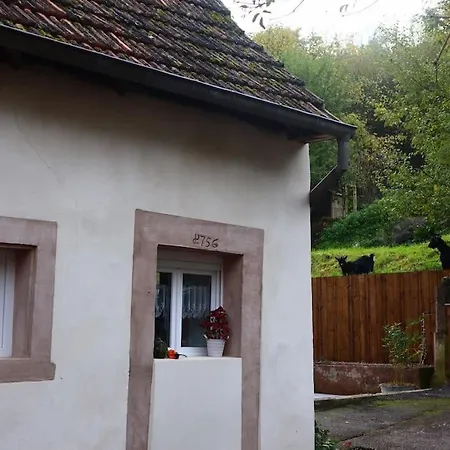 L'atelier Des Ombelles * Bergholtz-Zell